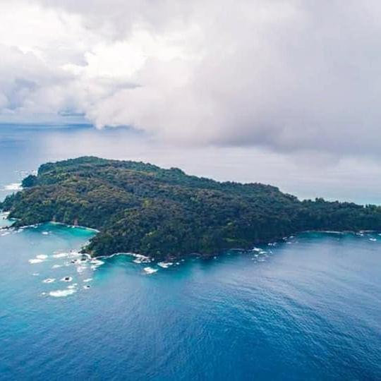 Cabinas Manolo Drake Bay, Ocean And Forest View Buitenkant foto